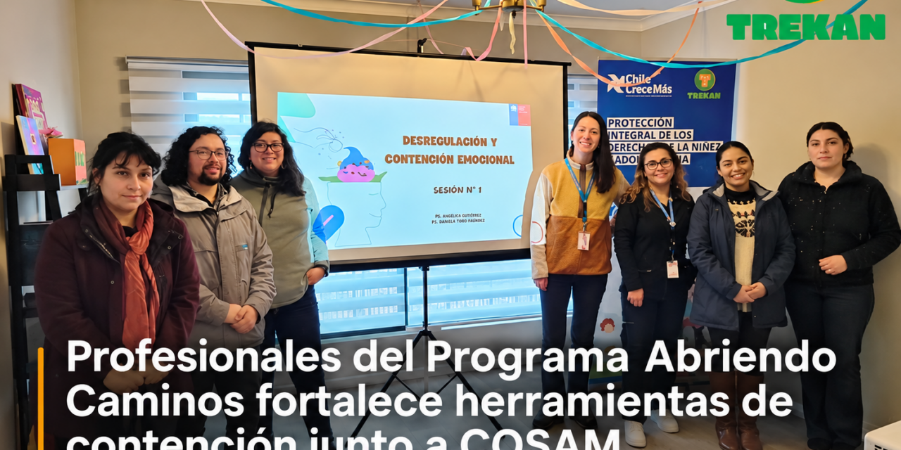 Programa Abriendo Caminos Cauquenes – Linares participó en la primera sesión de capacitación en contención en crisis y primeros auxilios psicológicos, desarrollada por profesionales de salud mental del COSAM Cauquenes.